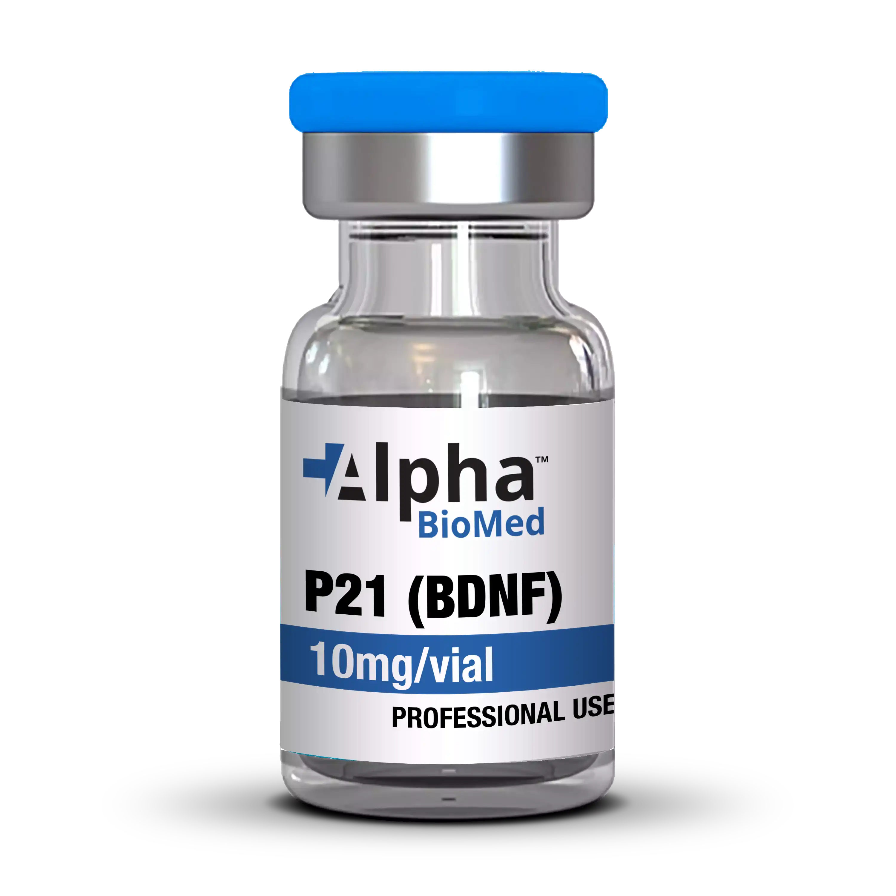 P21 / BDNF (Brain-derived neurotrophic factor) (10mg)